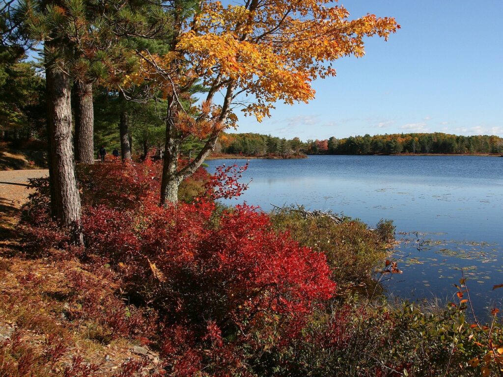 Acadia National Park 80357 1280