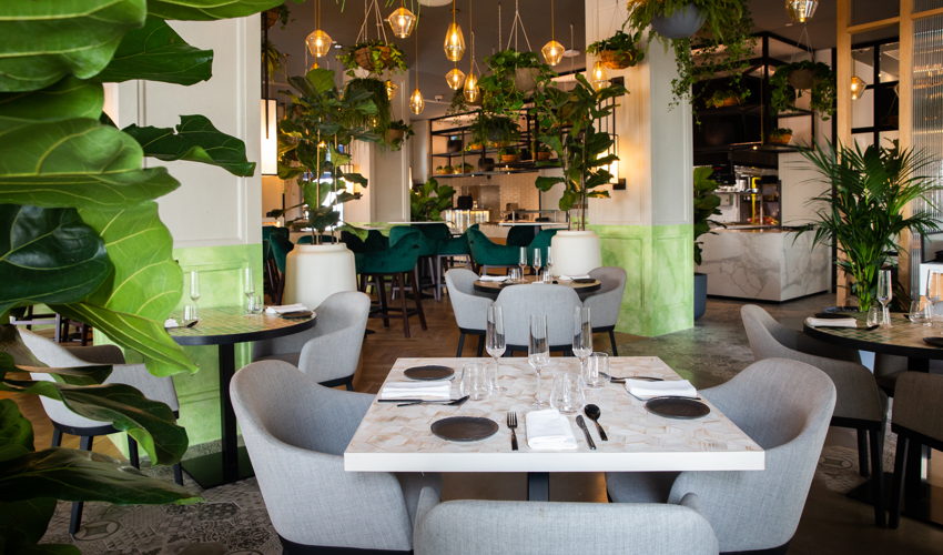 Soulgreen Dubai 1 SoulGreen Dubai - Vegan restaurant in Dubai for Dinner