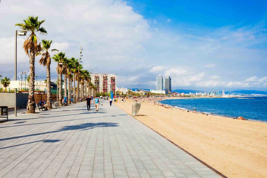 Barcelon Spain Barcelona, Spain: vegan travel meals in Europe