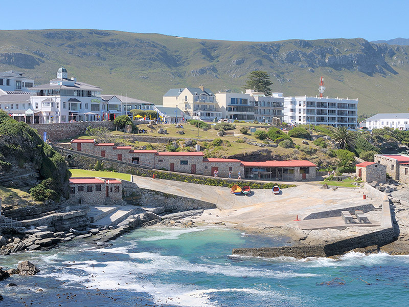 HERMANUS, WESTERN CAPE - Vegan travel and tours in Africa