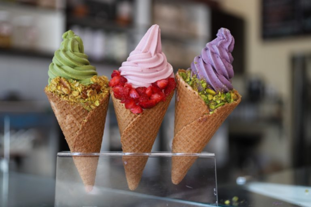 Yoga-Urt Vegan Ice Cream California US